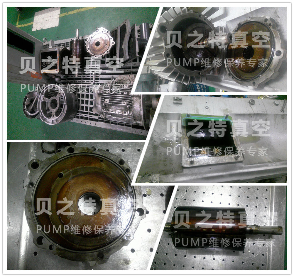 Busch普旭油泵RA0255D维修图