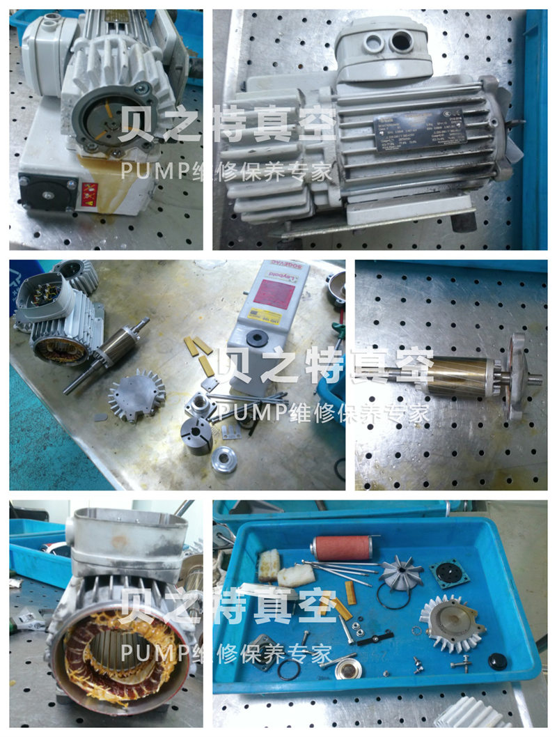 莱宝sv16b-案例水印.jpg