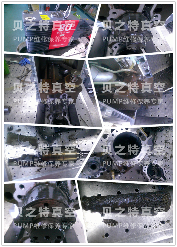 爱德华e2m80-.png