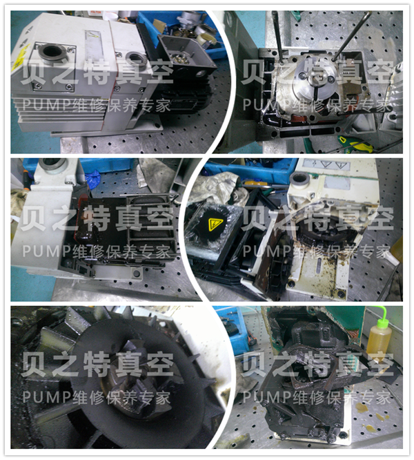 莱宝d16b-1发布.png