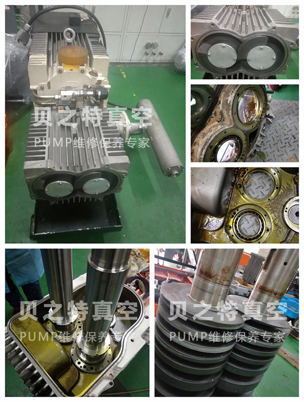 莱宝SP630-新案例-水印ok.jpg