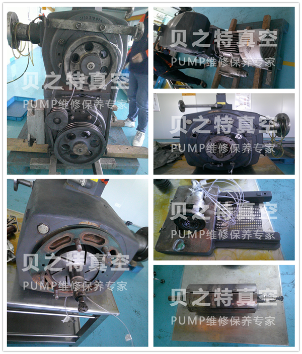0普旭HO0441F.png