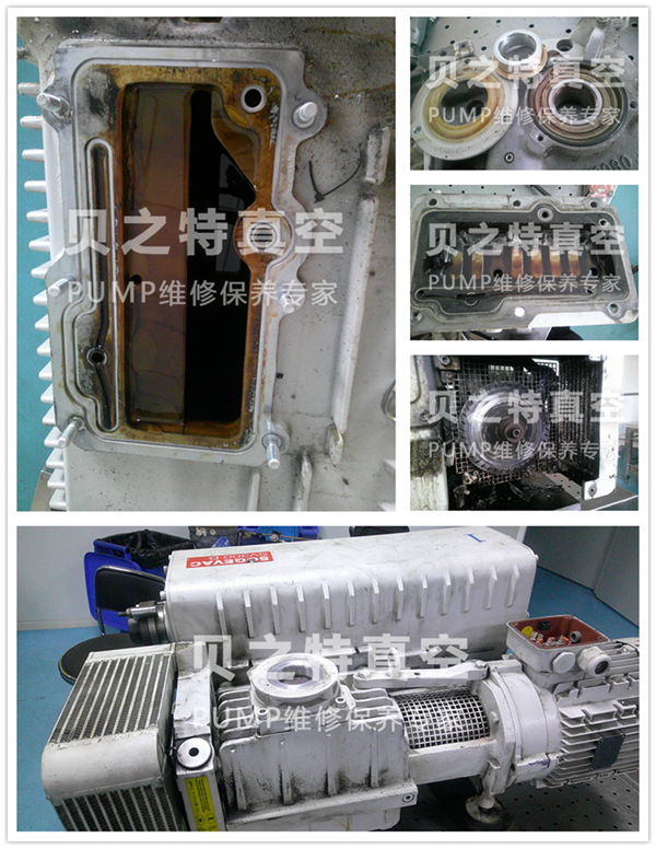 莱宝SV300B--.png