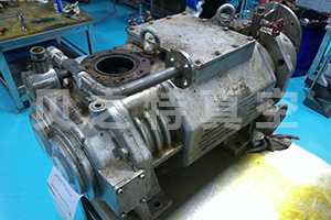ANMP0301.jpg
