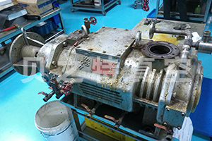 ANMP0243.jpg